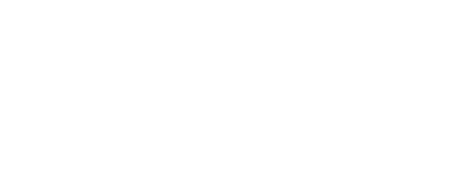 Multiservicios Vet